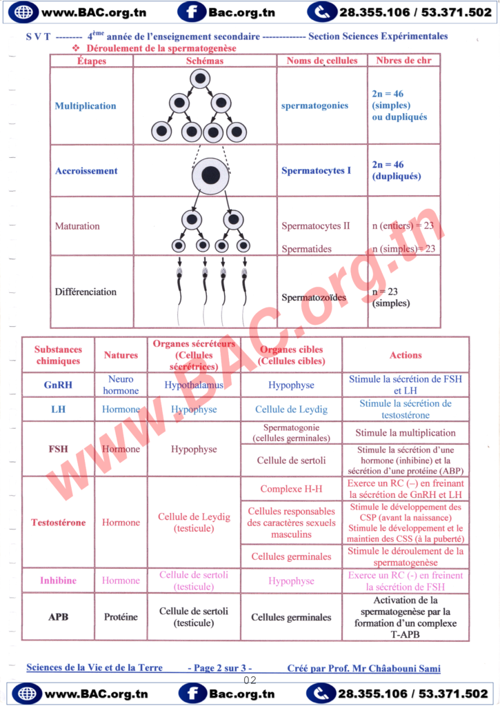 R Sum S Du Cours Toute L Ann E Svt Bac Sciences Exp Bac