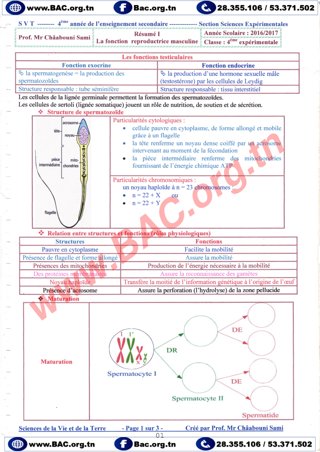 Résumés du cours Toute l'année SVT BAC Sciences Exp 2025 Bac